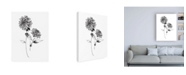 Trademark Global Wild Apple Portfolio Sketchbook Flowers on White IV Canvas Art - 36.5" x 48"
